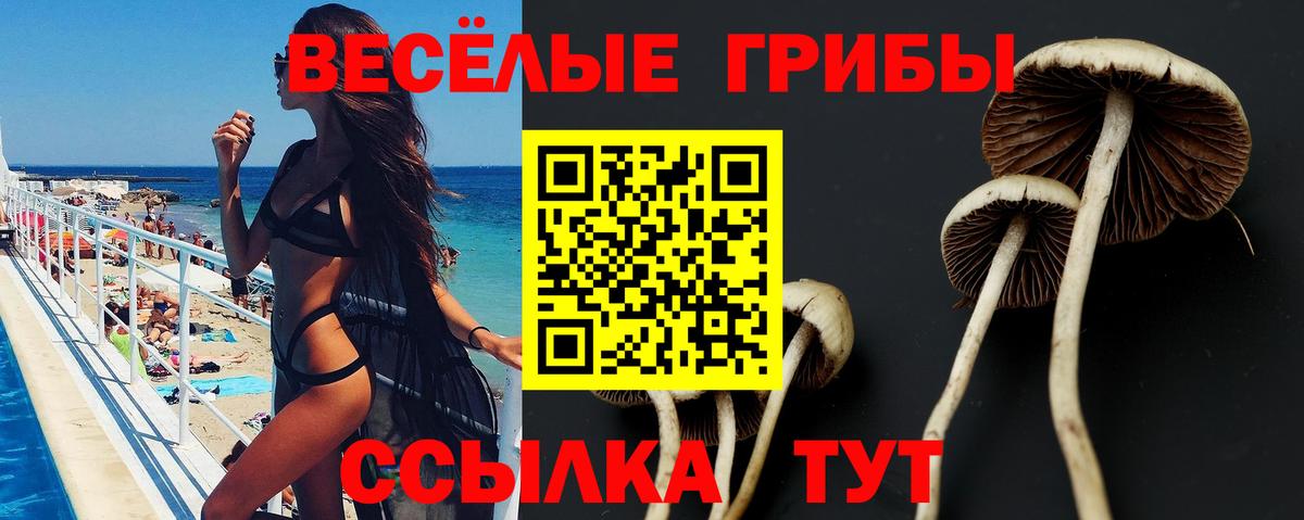 Амфетамин Озёрск