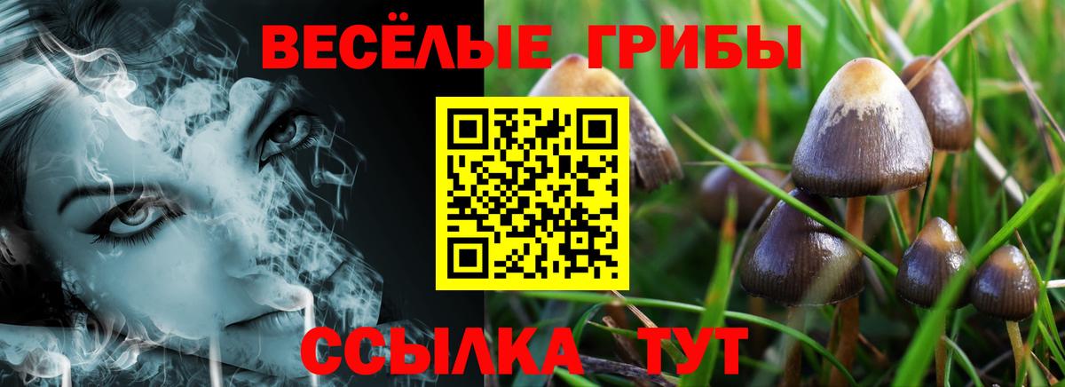 Галлюциногенные грибы Psilocybine cubensis  Вход с VPN  Псилоцибиновые грибы мицелий  Озёрск 